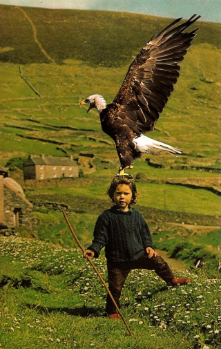 National Geographic Magazine Collage Image