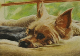 Colored Pencil Image