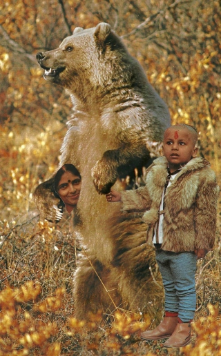 National Geographic Magazine Collage Image