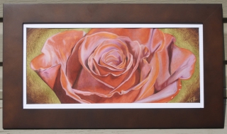 Colored Pencil Image